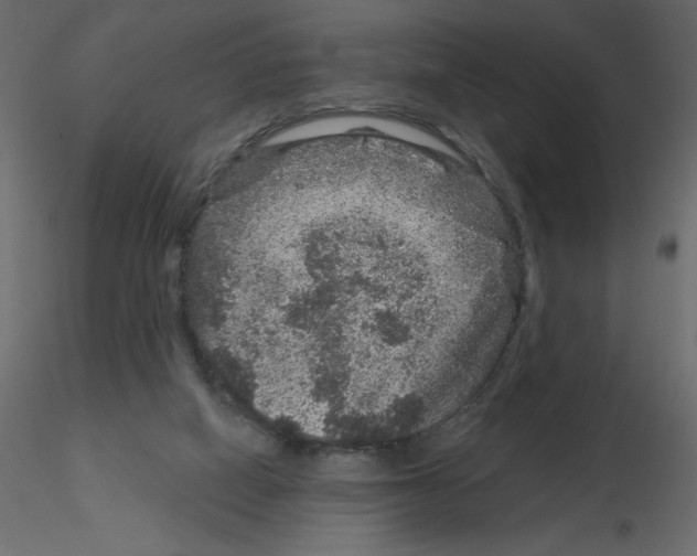 X0000115670066200912241428