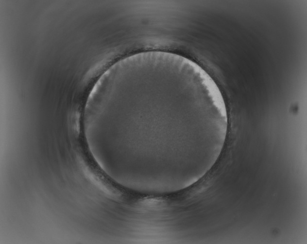 X0000115670067200912241428