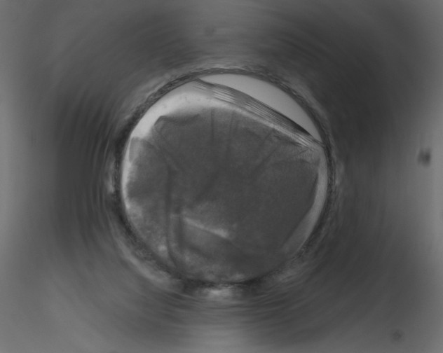 X0000115670068200912241428