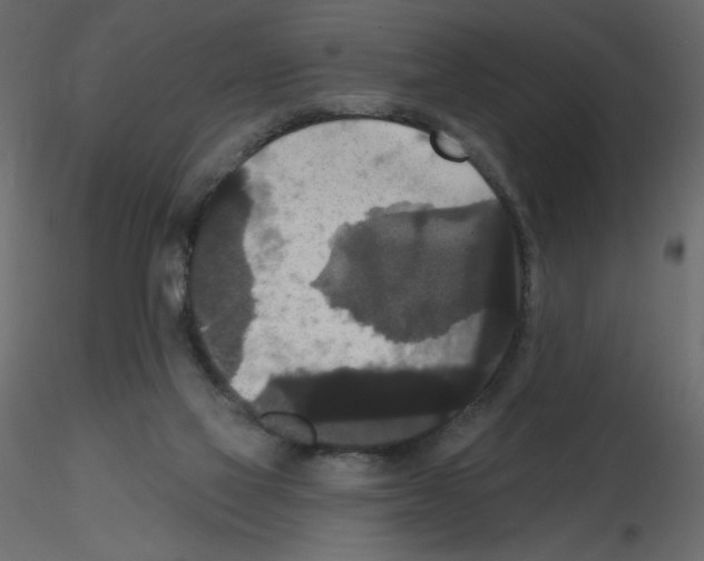 X0000115670069200912241428