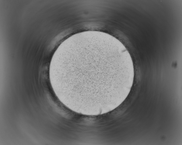 X0000115670071200912241428