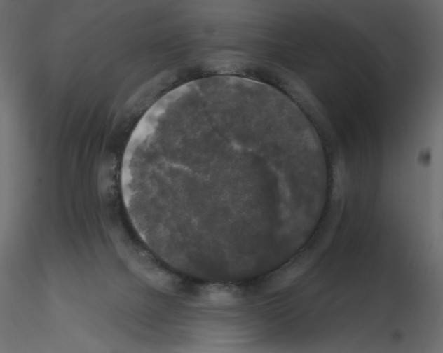 X0000115670073200912241428