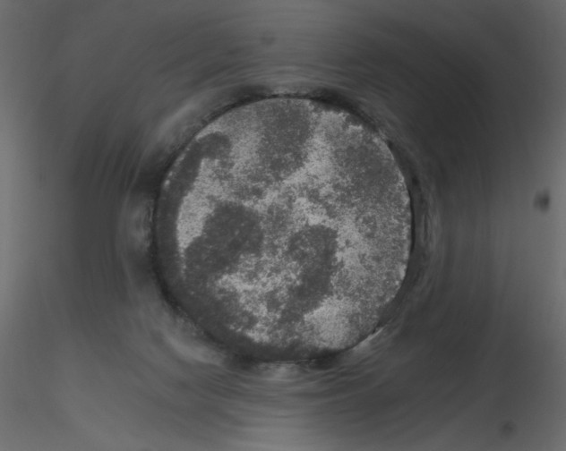 X0000115670074200912241428