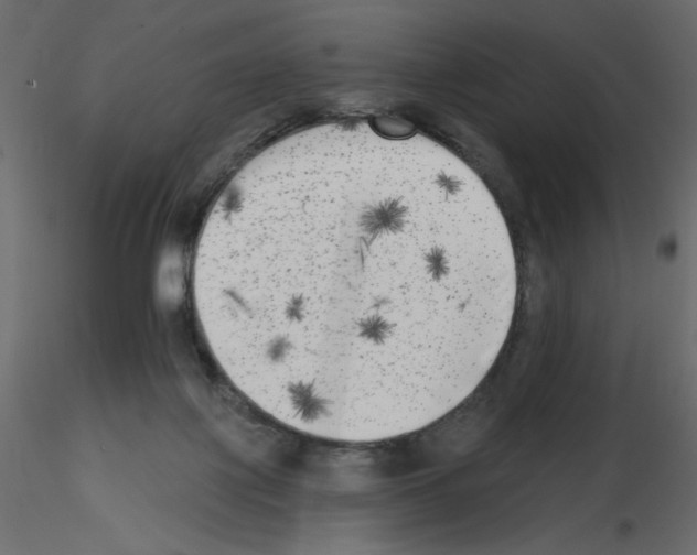 X0000115670075200912241428