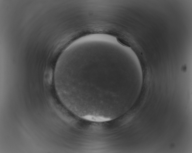 X0000115670076200912241428