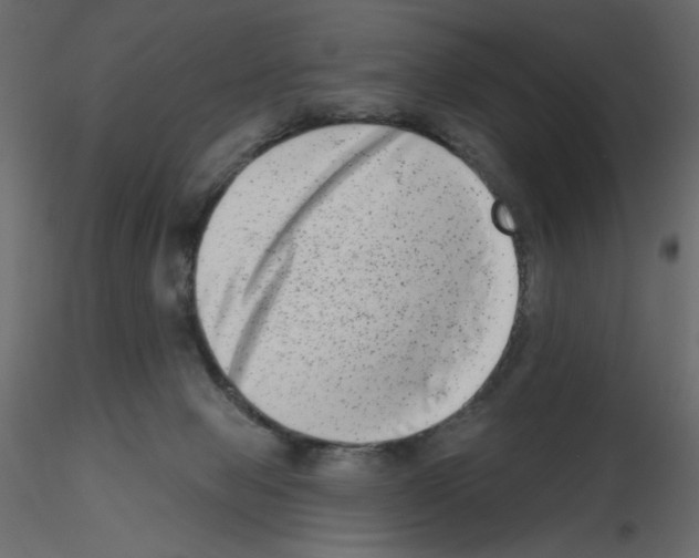 X0000115670077200912241428