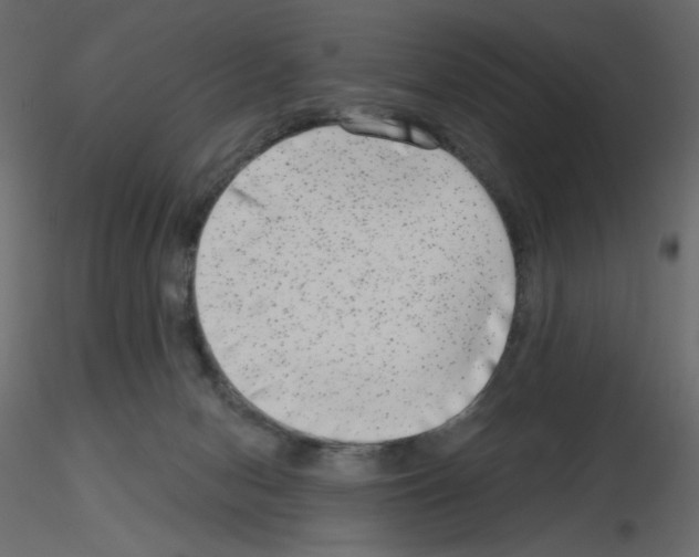 X0000115670078200912241428