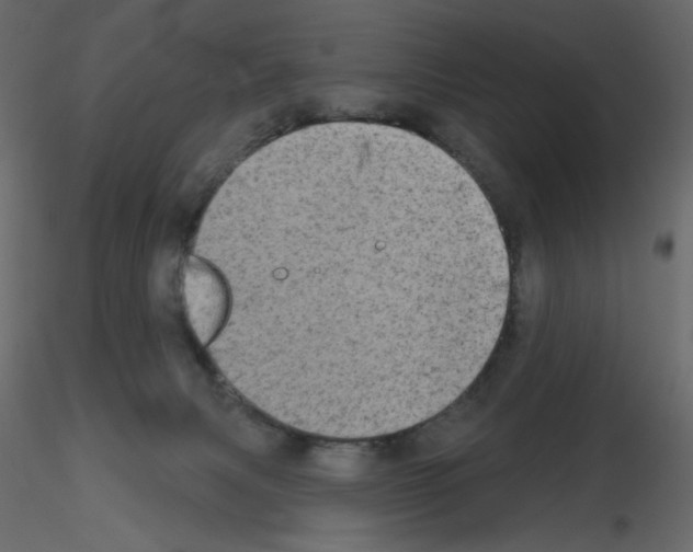 X0000115670079200912241428