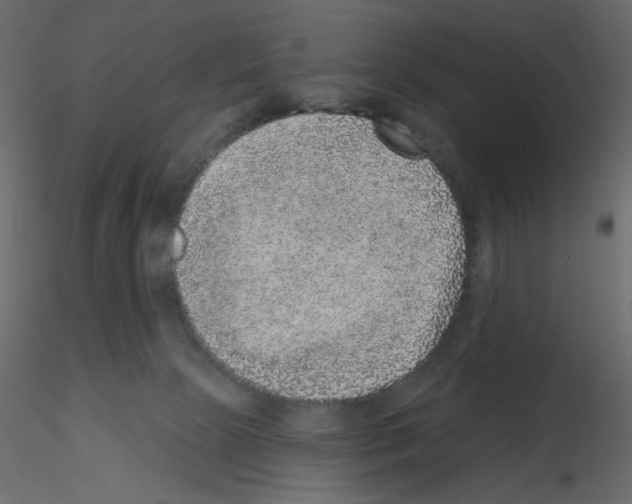 X0000115670081200912241428