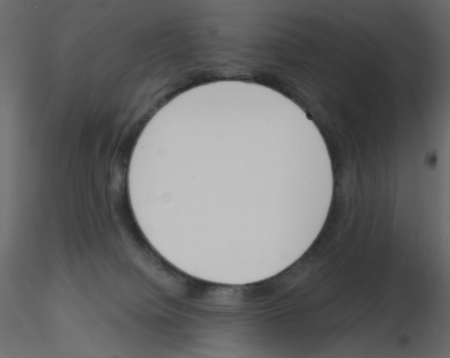 X0000115670084200912241428