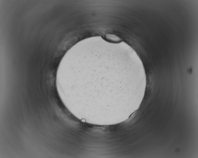 X0000115670086200912241428