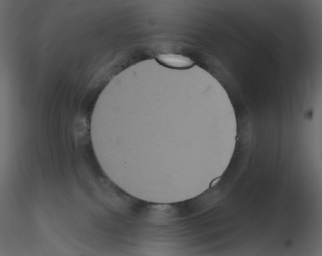 X0000115670087200912241428