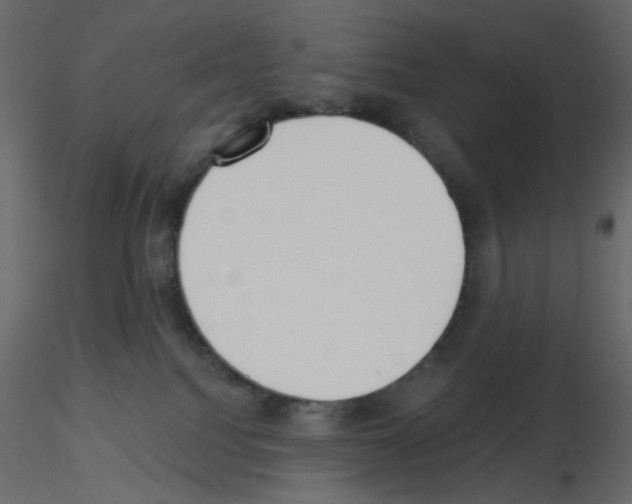 X0000115670088200912241429