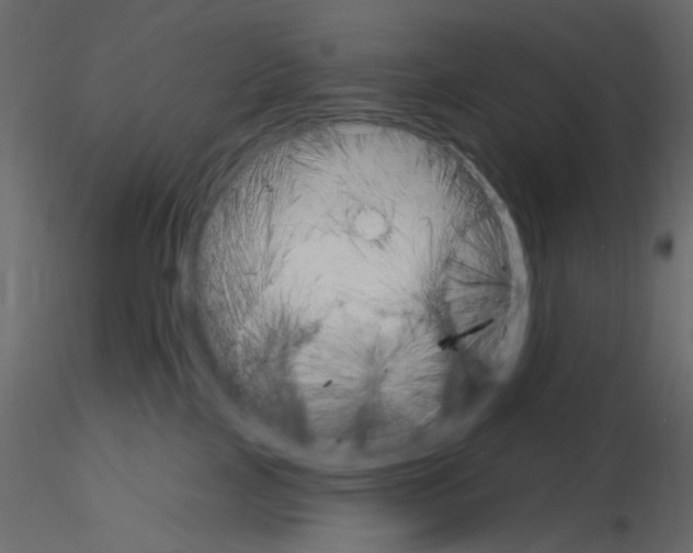 X0000115670089200912241429