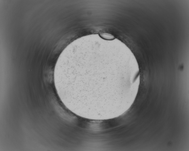 X0000115670090200912241429