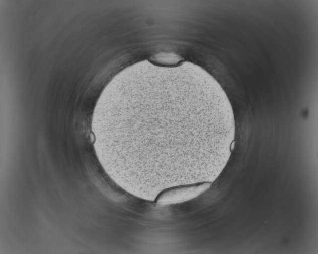 X0000115670091200912241429