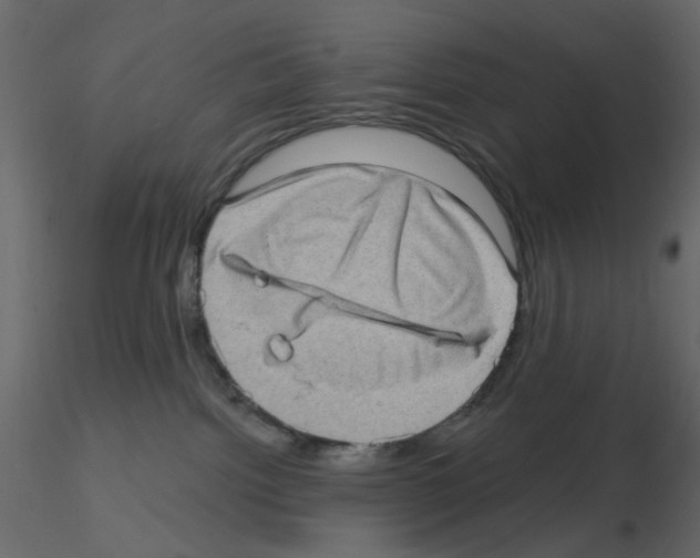 X0000115670092200912241429