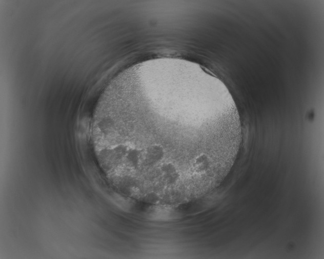 X0000115670093200912241429