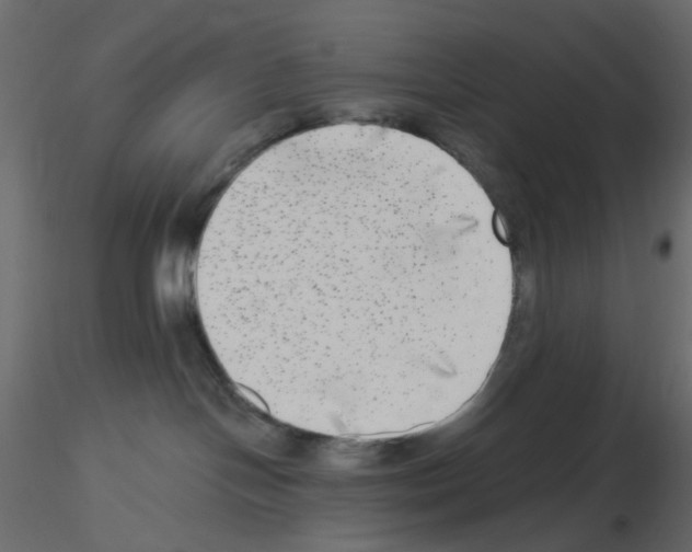 X0000115670094200912241429