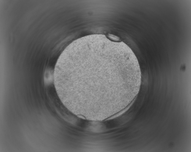 X0000115670095200912241429