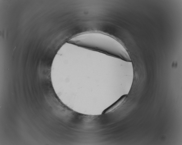 X0000115670096200912241429