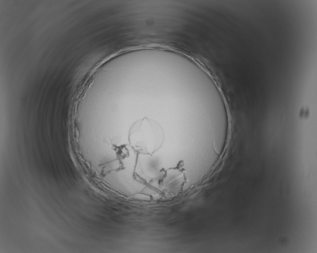 X0000115670097200912241428