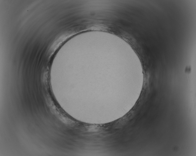 X0000115670098200912241428