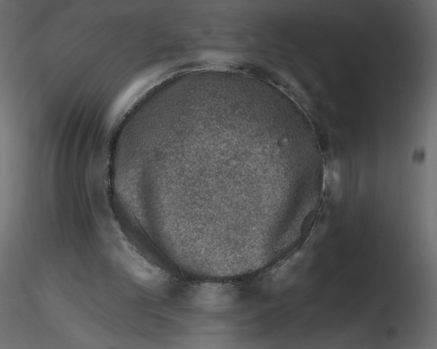 X0000115670101200912241428