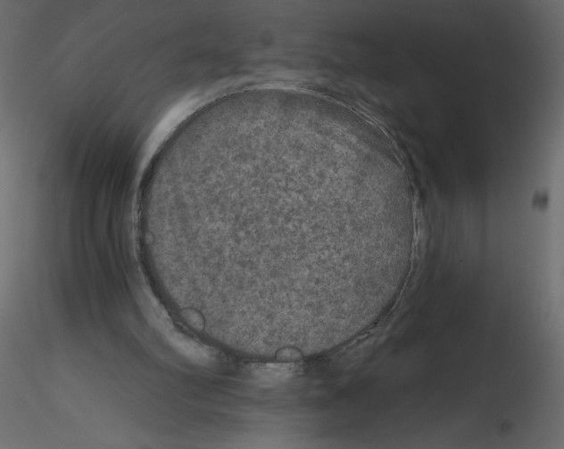 X0000115670102200912241428