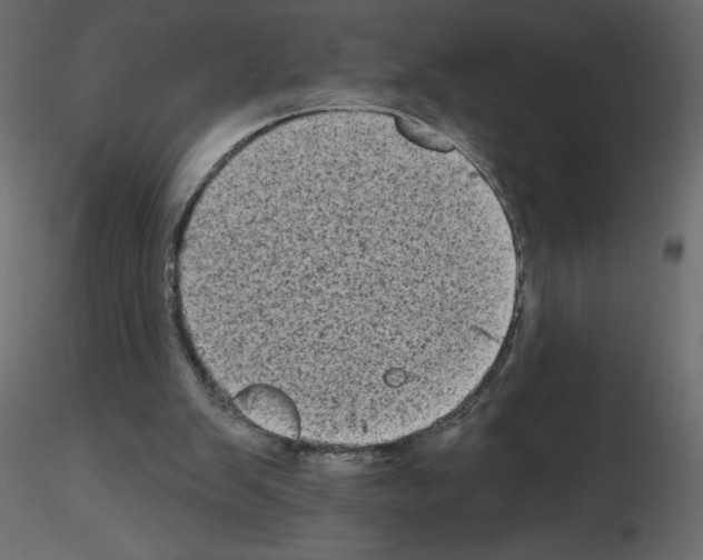 X0000115670103200912241428