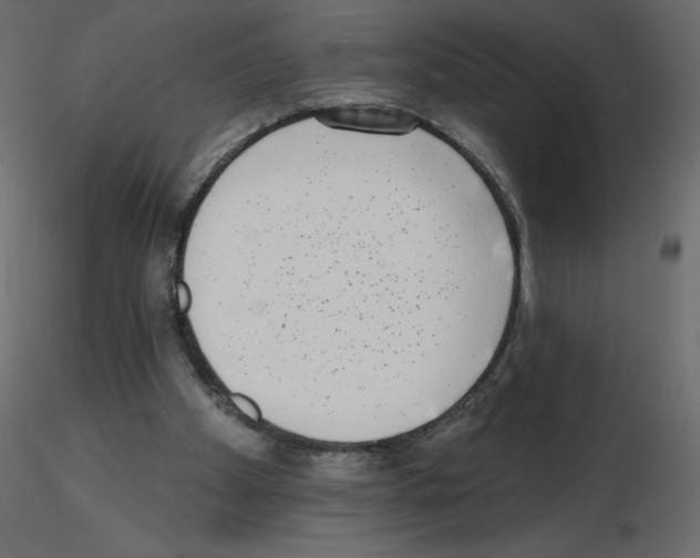 X0000115670105200912241428