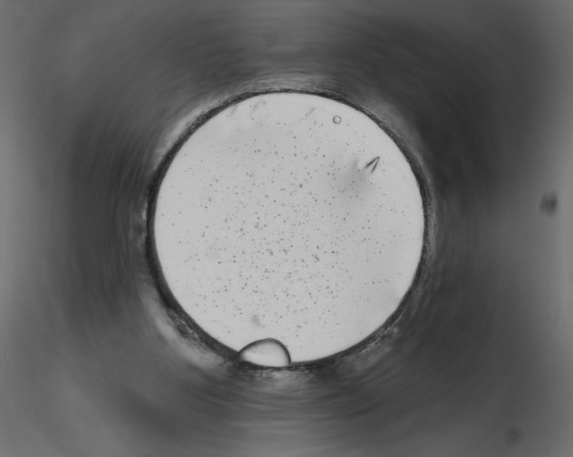 X0000115670107200912241428