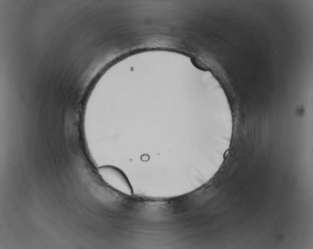 X0000115670108200912241428