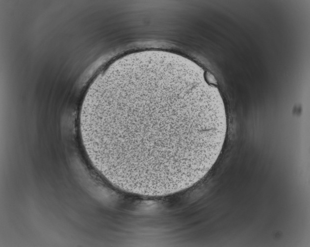 X0000115670111200912241428