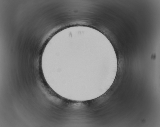 X0000115670112200912241428