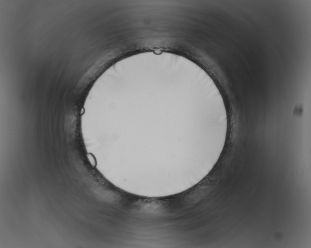 X0000115670113200912241428