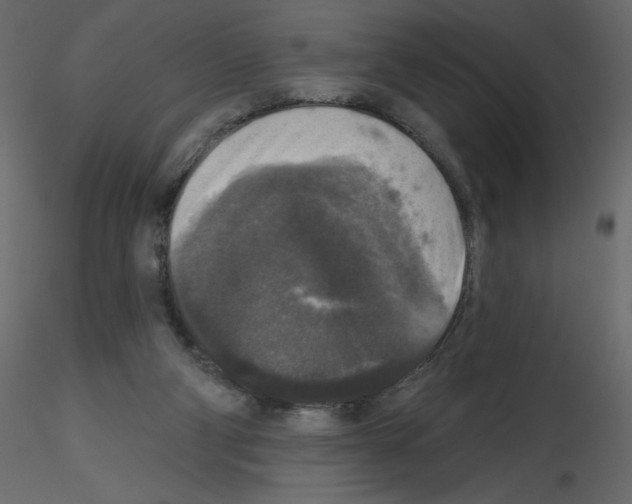 X0000115670114200912241428