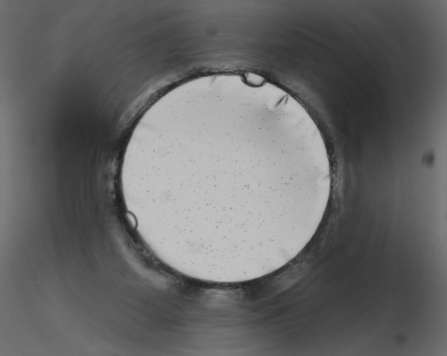 X0000115670115200912241428