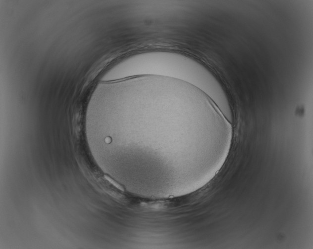 X0000115670116200912241428