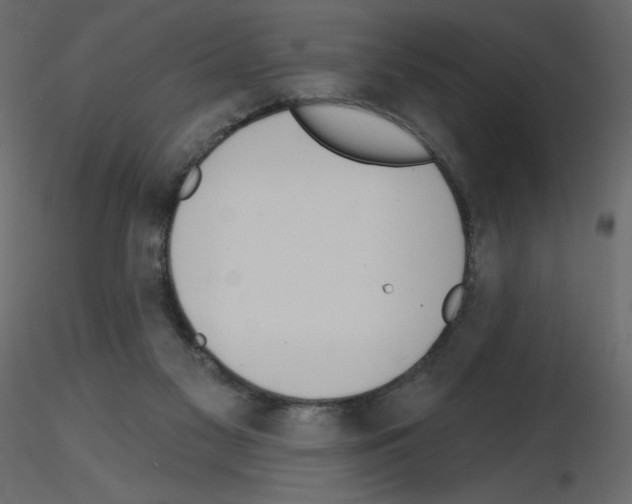 X0000115670117200912241428