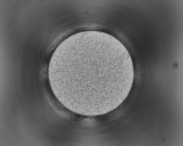 X0000115670119200912241428