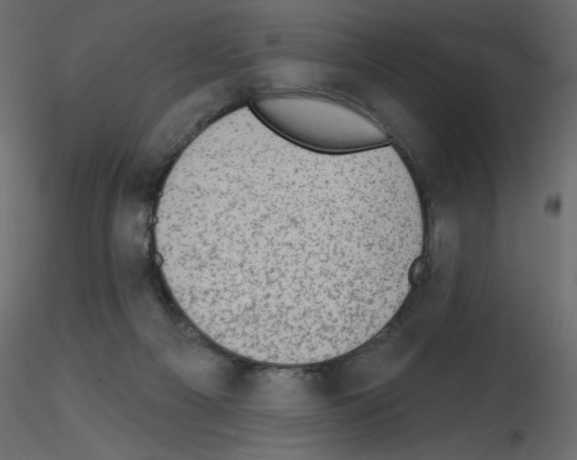 X0000115670121200912241428