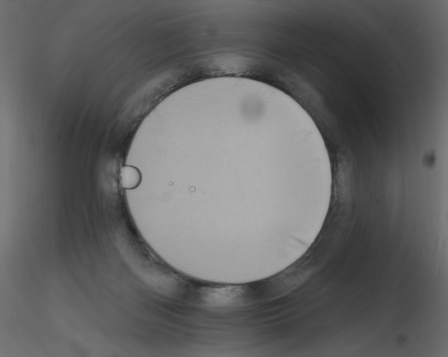 X0000115670122200912241428