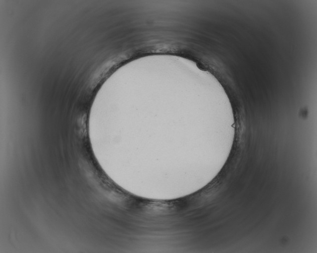 X0000115670123200912241428