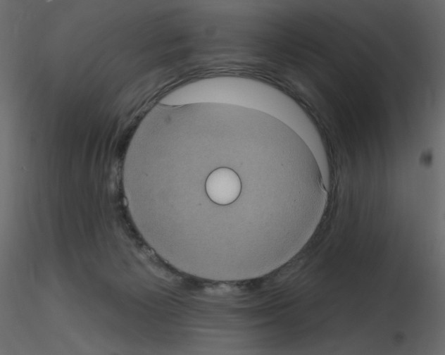 X0000115670125200912241428