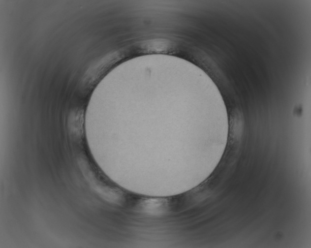 X0000115670126200912241428