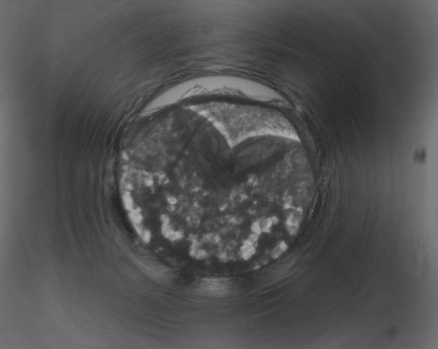 X0000115670127200912241428