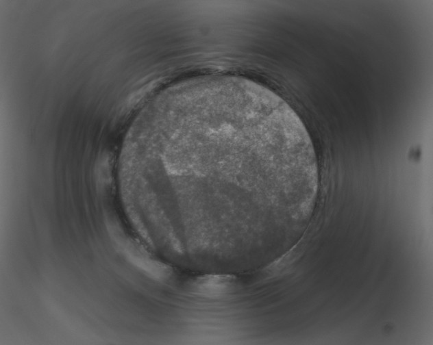 X0000115670128200912241428