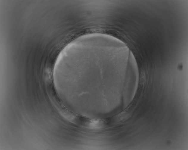 X0000115670130200912241428