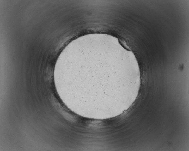 X0000115670132200912241427